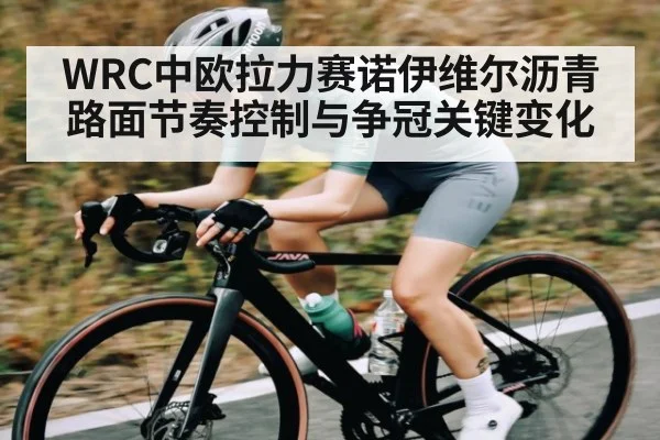 WRC中欧拉力赛诺伊维尔沥青路面节奏控制与争冠关键变化